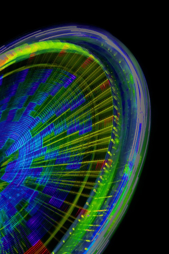 Радужное колесо рулетки