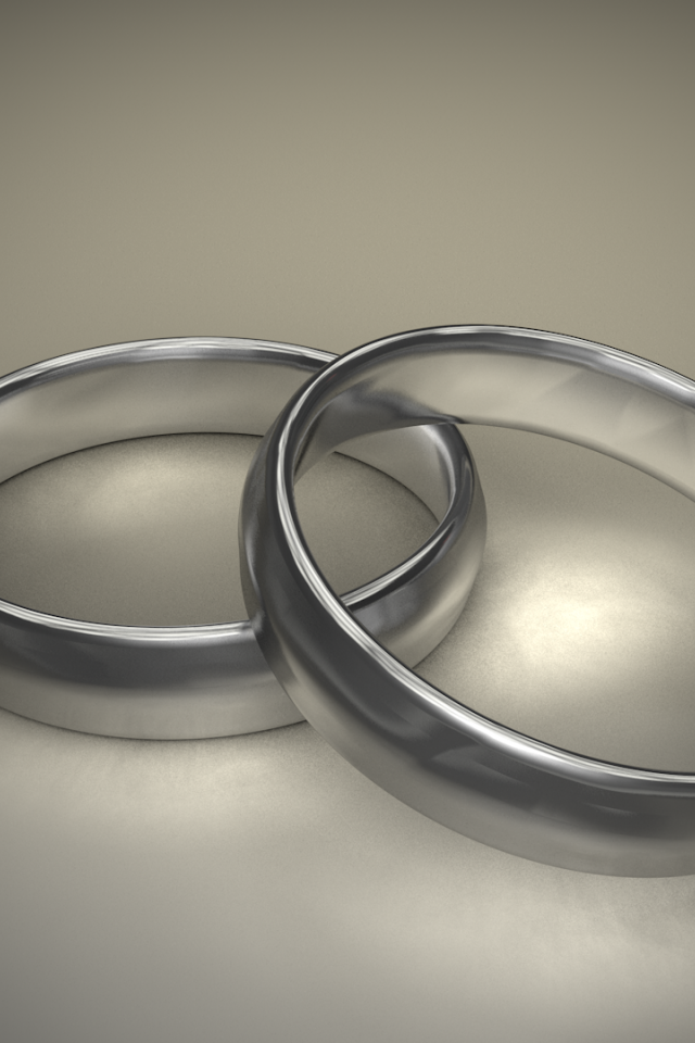 Два кольца, 3Д модель