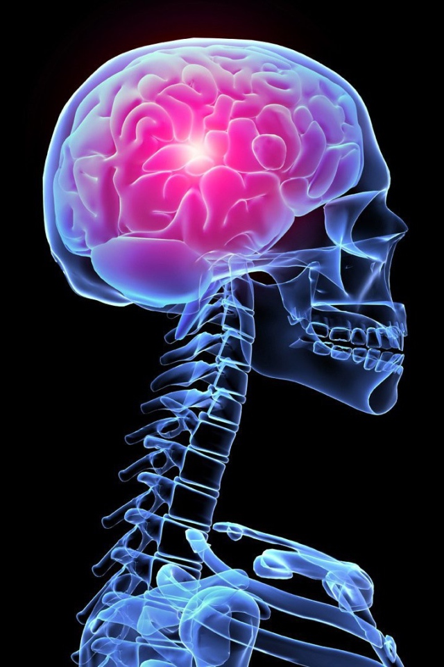 Рентгеновский снимок тела человека
