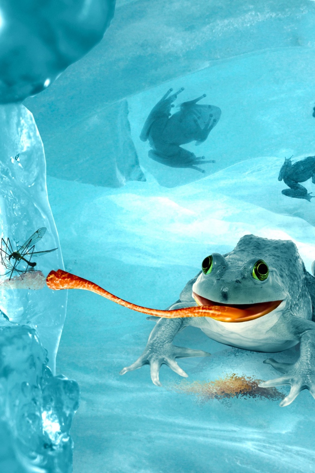 Лягушка среди льдов
