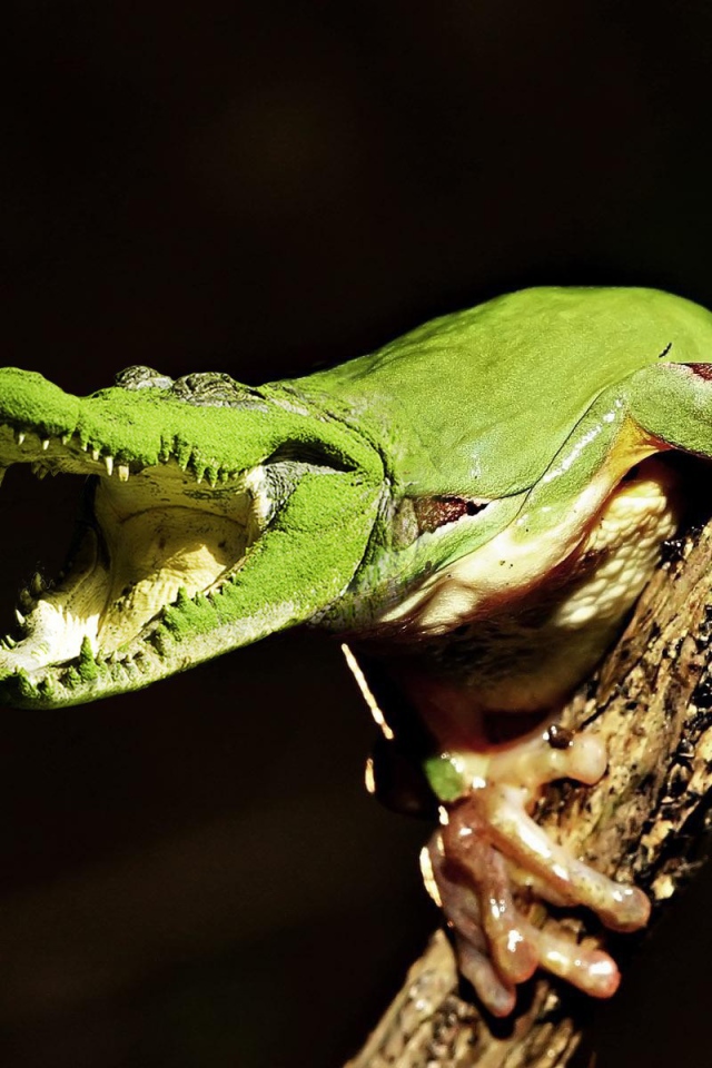 Лягушка крокодил на ветке