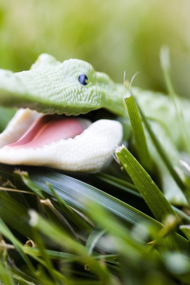 Зеленый крокодильчик в траве