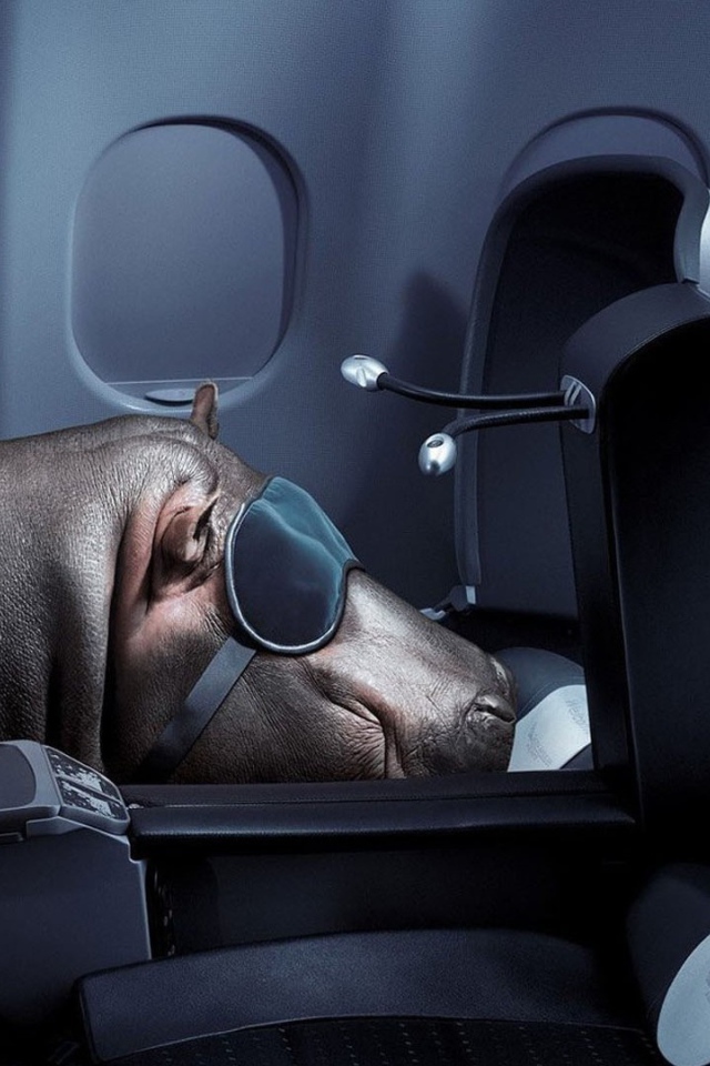 Летающий бегемотик. Макси бегемотик киндер. Мягкая игрушка самолет. Самолет бегемот. Самолет бегемот.