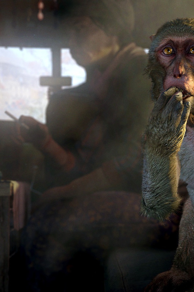 Обезьяна и курица в грузовике