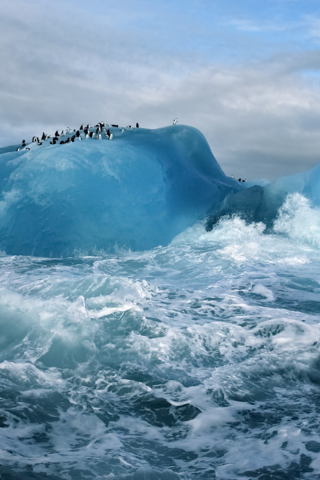 Penguins on an iceberg in the stormy sea