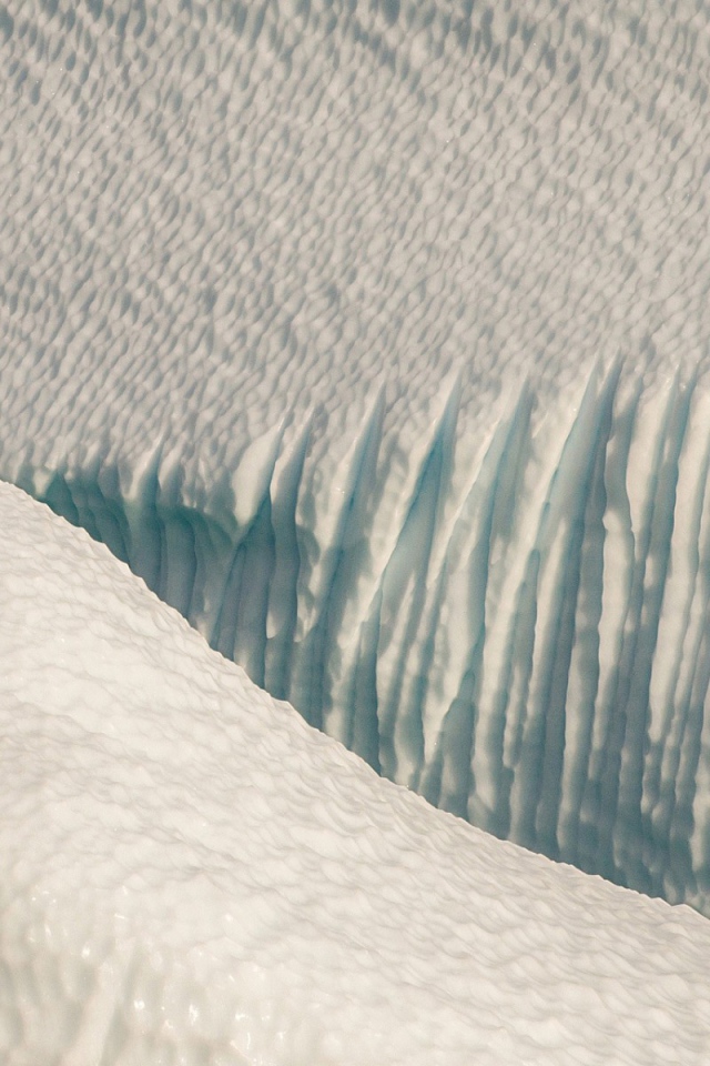Полярный медведь в снежной пустыне