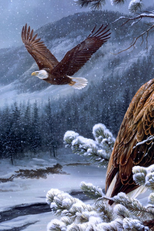 Белоголовые орланы в горах