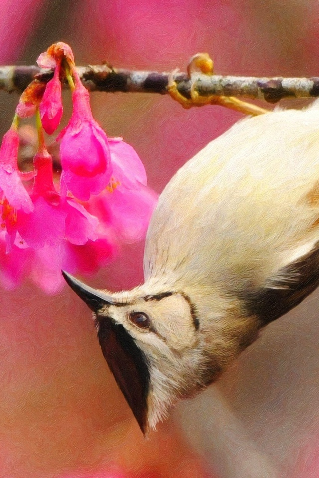Птичка на ветке вниз головой