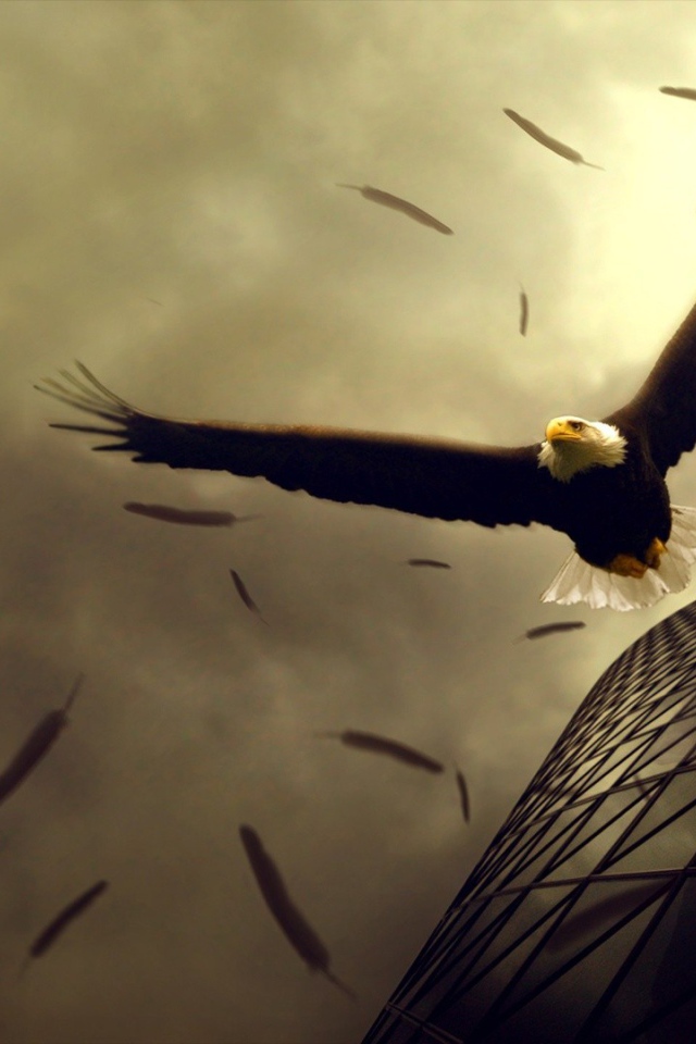 Орел теряет перья в полете