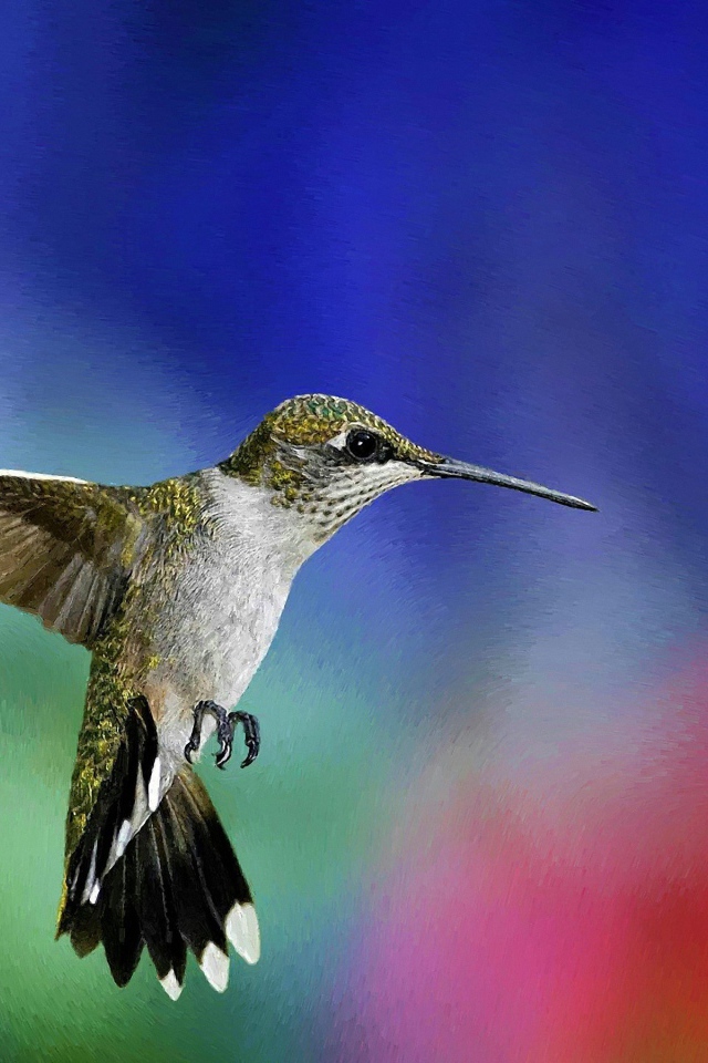 Зеленая колибри в воздухе