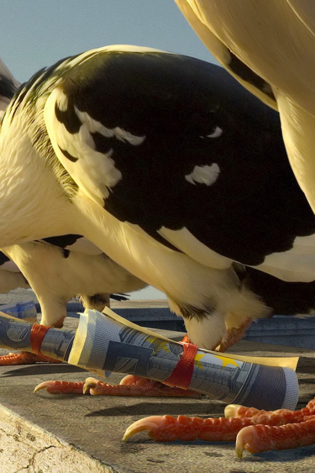 Почтовые голуби с посланиями на лапах