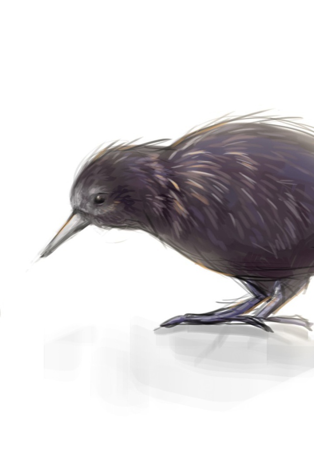 Киви это и птица и фрукт