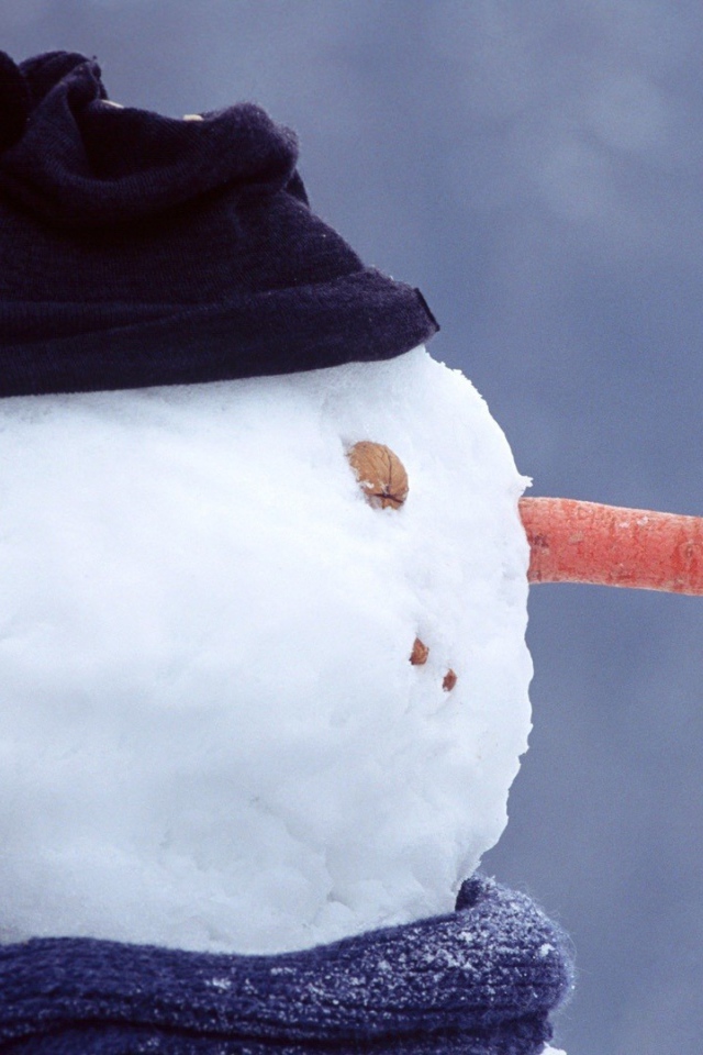 Синица на носу снеговика