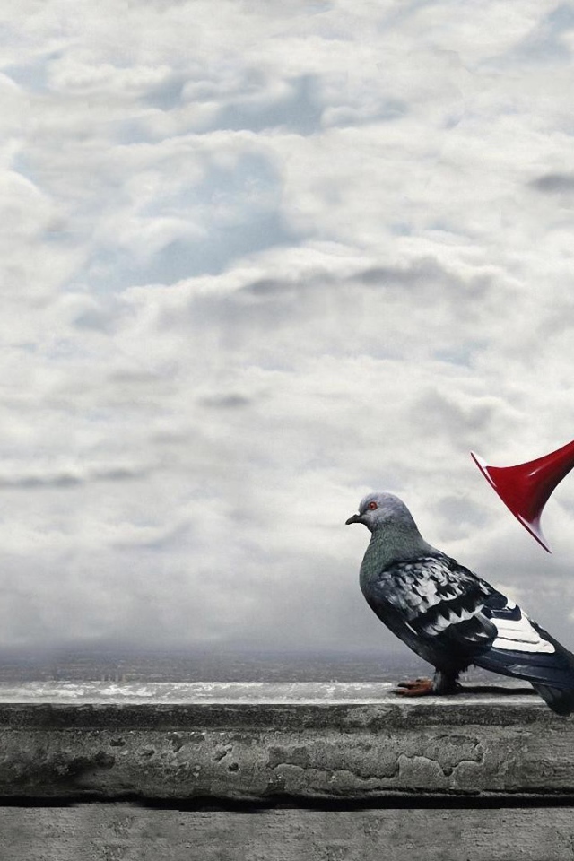 Гудок у уха городского голубя