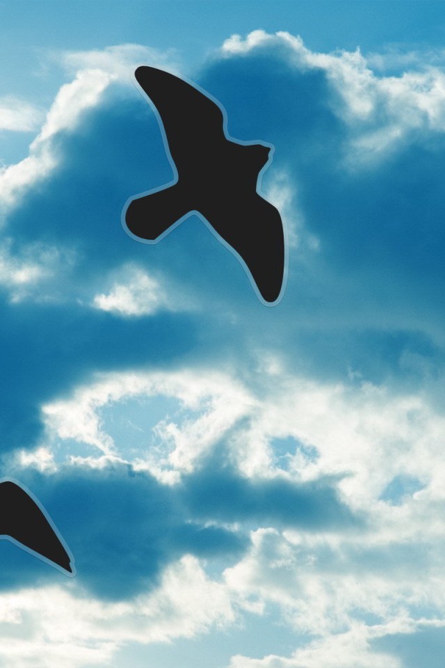 Силуэты птиц на небе