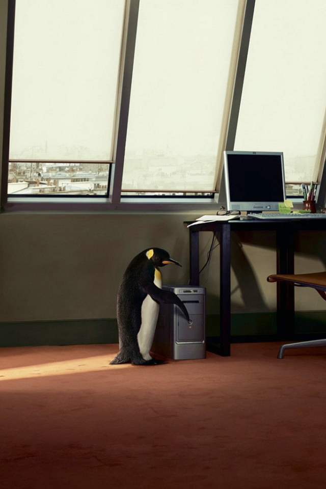 Пингвин и компьютер