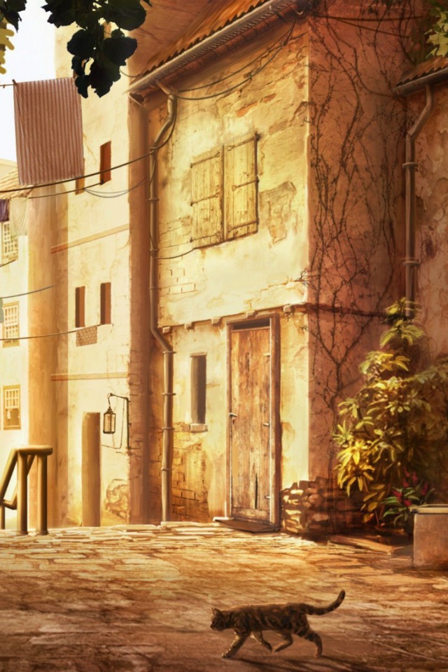 Кошка переходит дорогу