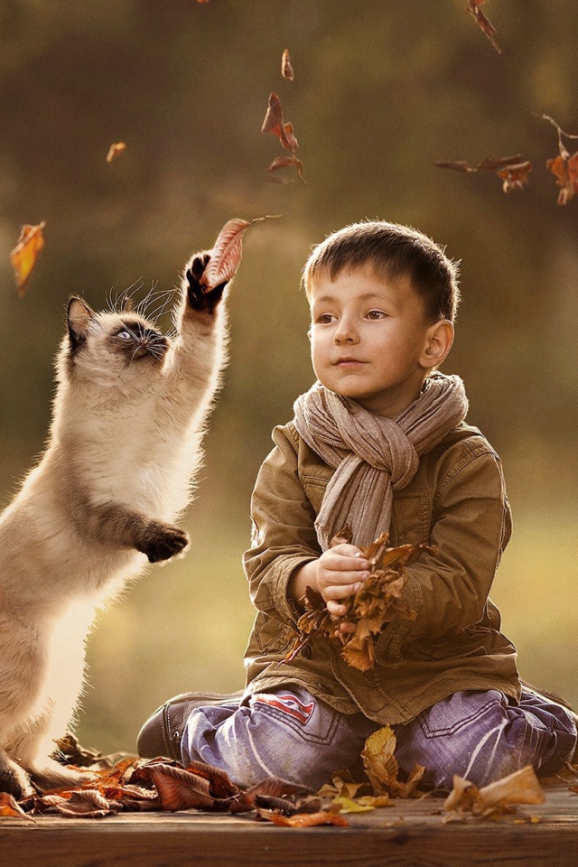 Ребенок и кот играют вместе