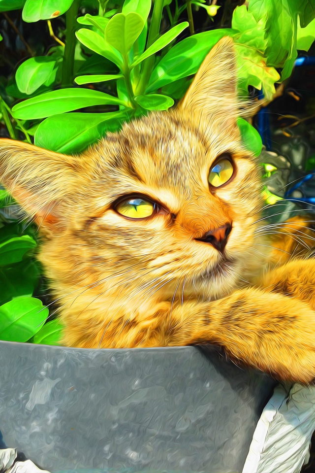 Милый рыжий кот на фоне зелени