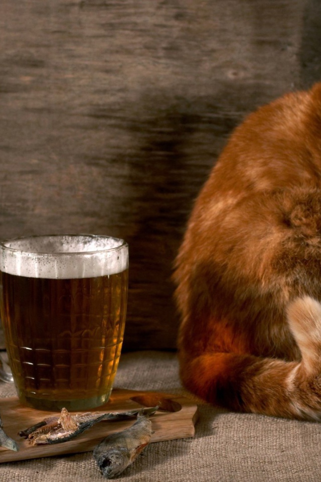 Рыжик тоже хочет пива
