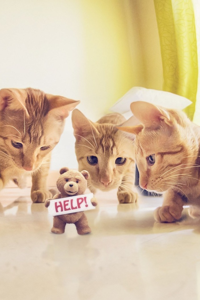 Игрушка просит спасения от котов