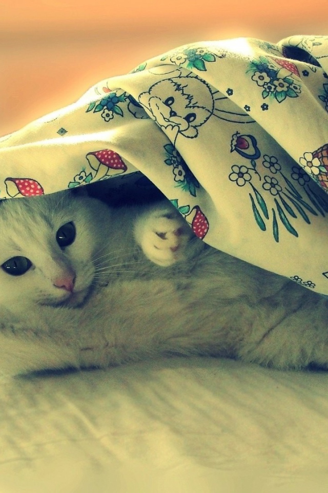 Белая кошка потягивается под одеялом