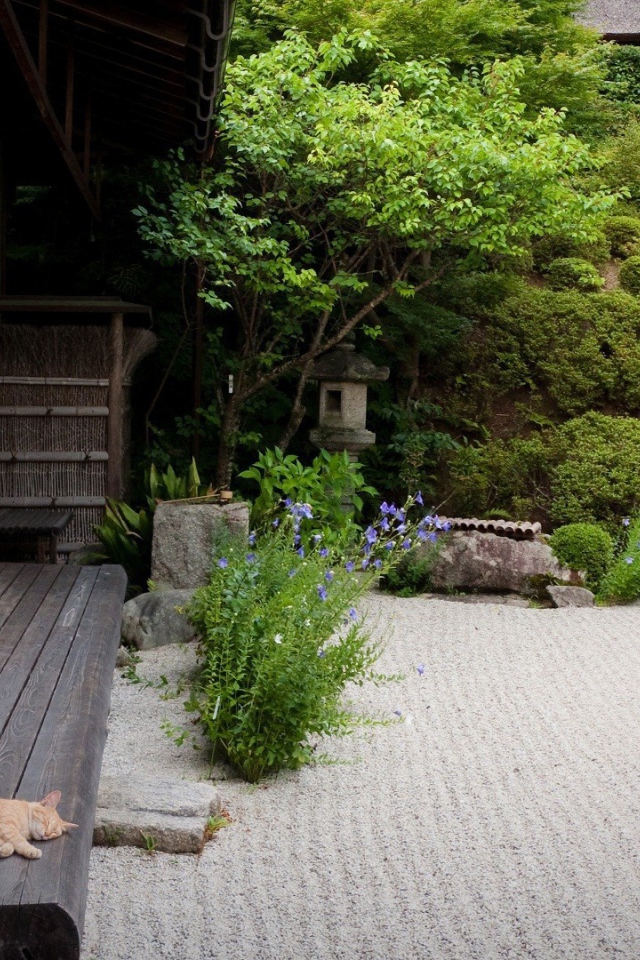 Кот спит на террасе