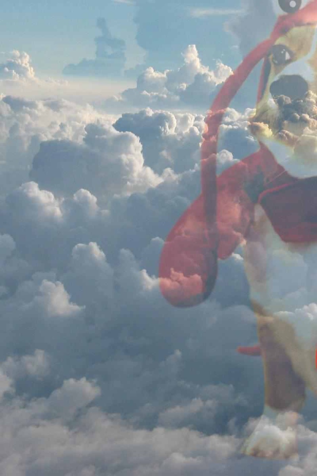 Собака в забавном наряде на фоне облаков