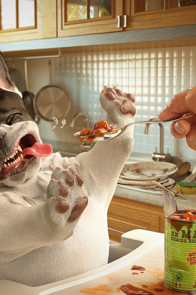 Собака отказывается от консервы