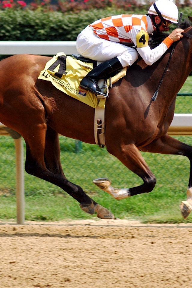 Всадник на ипподроме