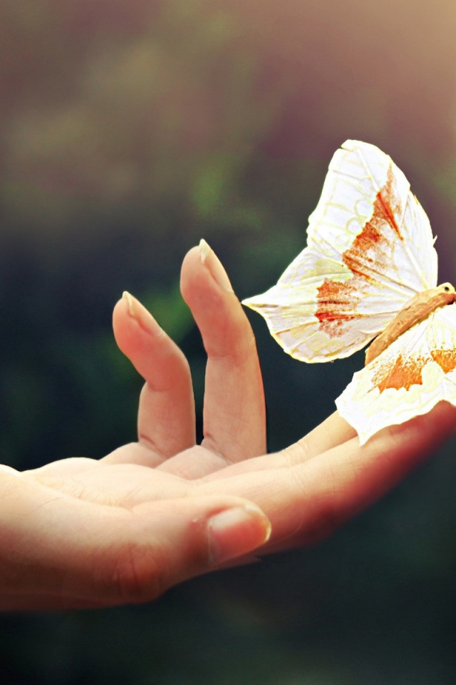 Большая бабочка на пальцах руки