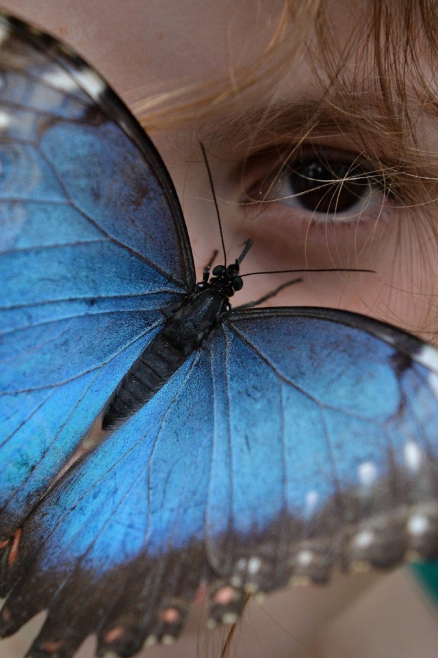 Синяя бабочка на лице девочки