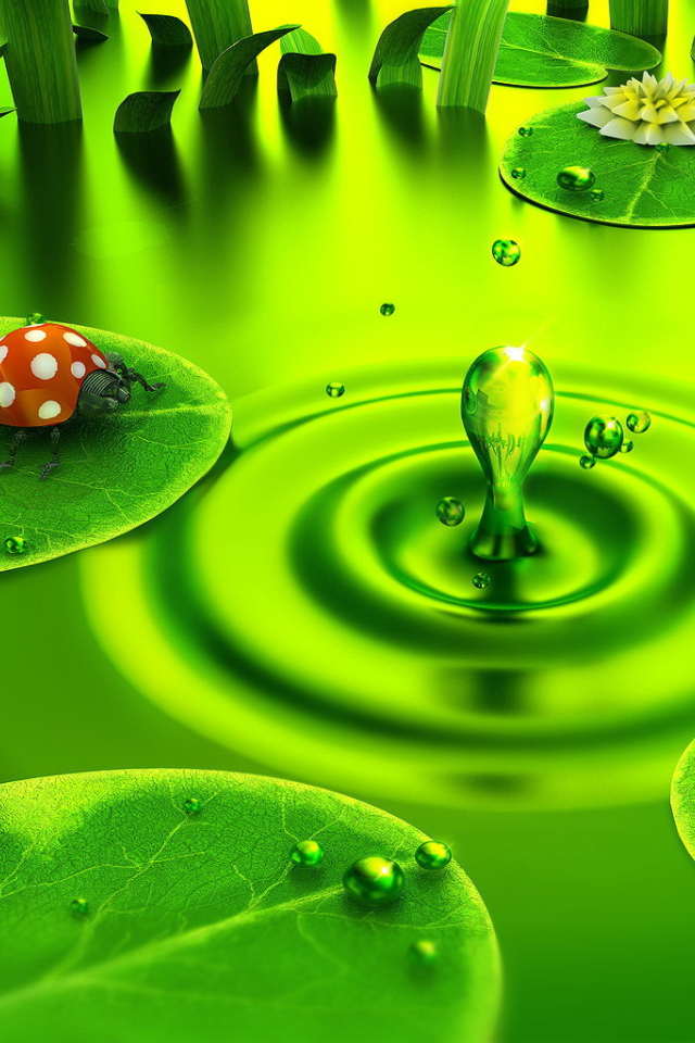 Божья коровка на водяном листке