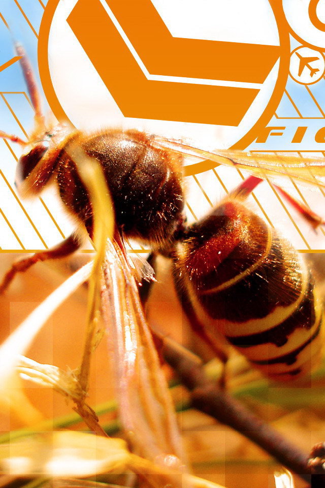 Осиная талия