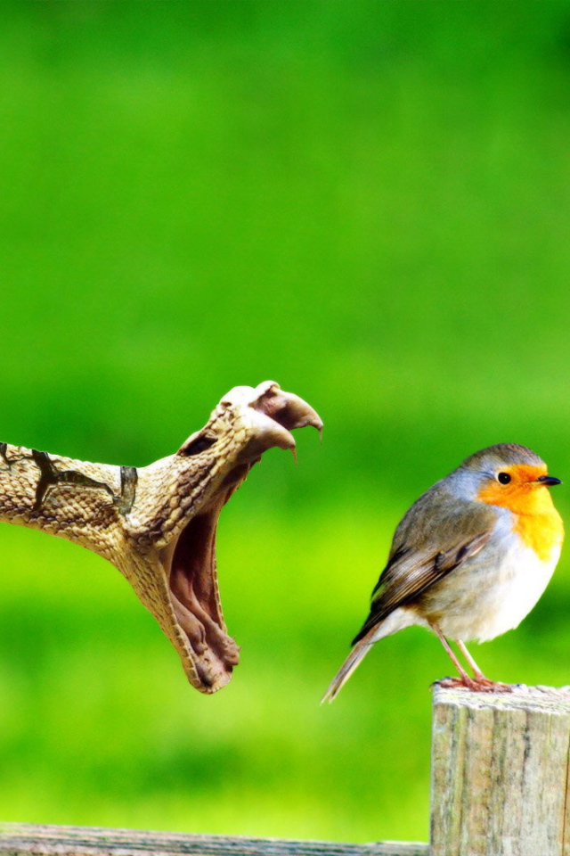 Змея ловит птицу