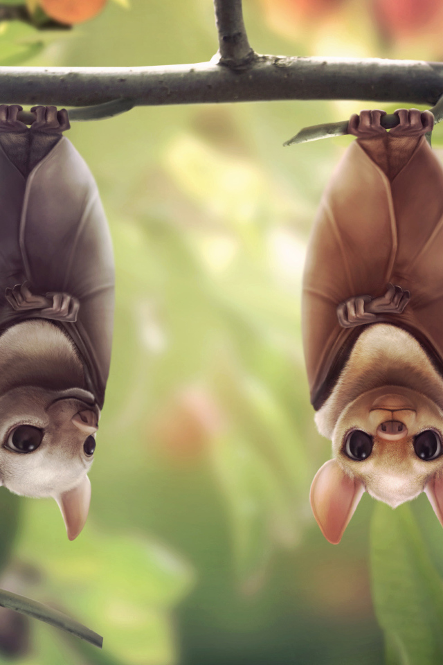 Летучие мыши на мандарине
