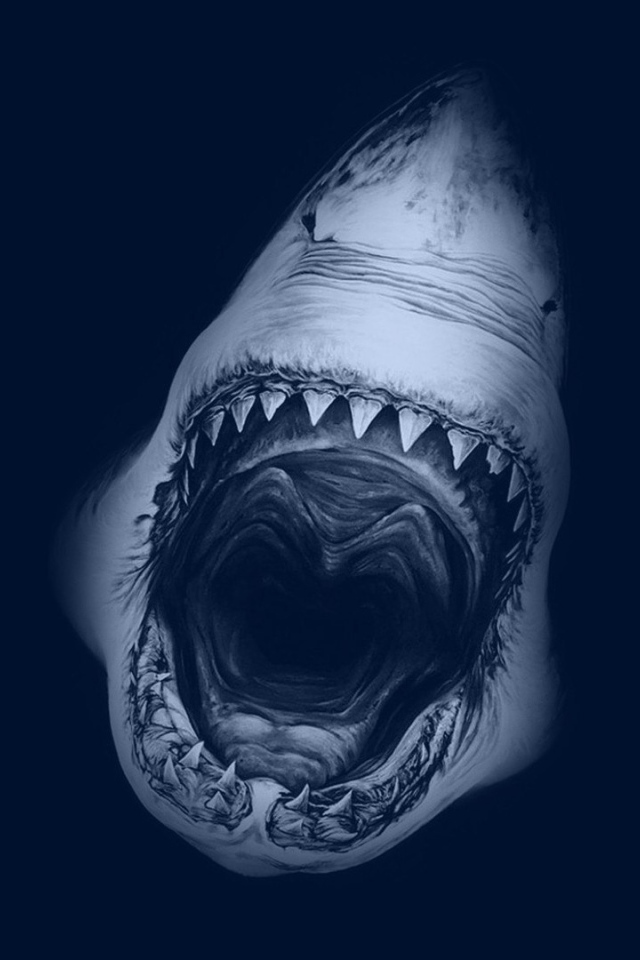 Смертельный оскал акулы