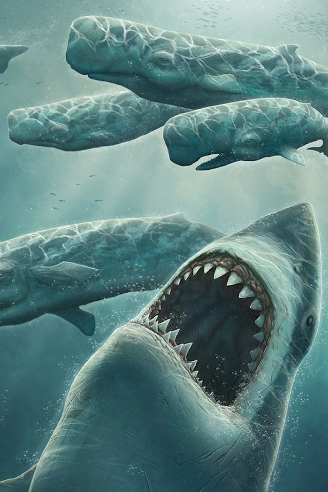 Охота зубастой акулы