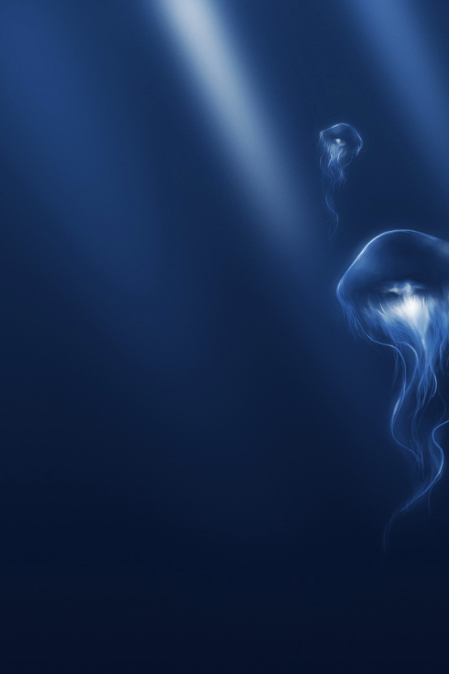 Медузы в синем океане