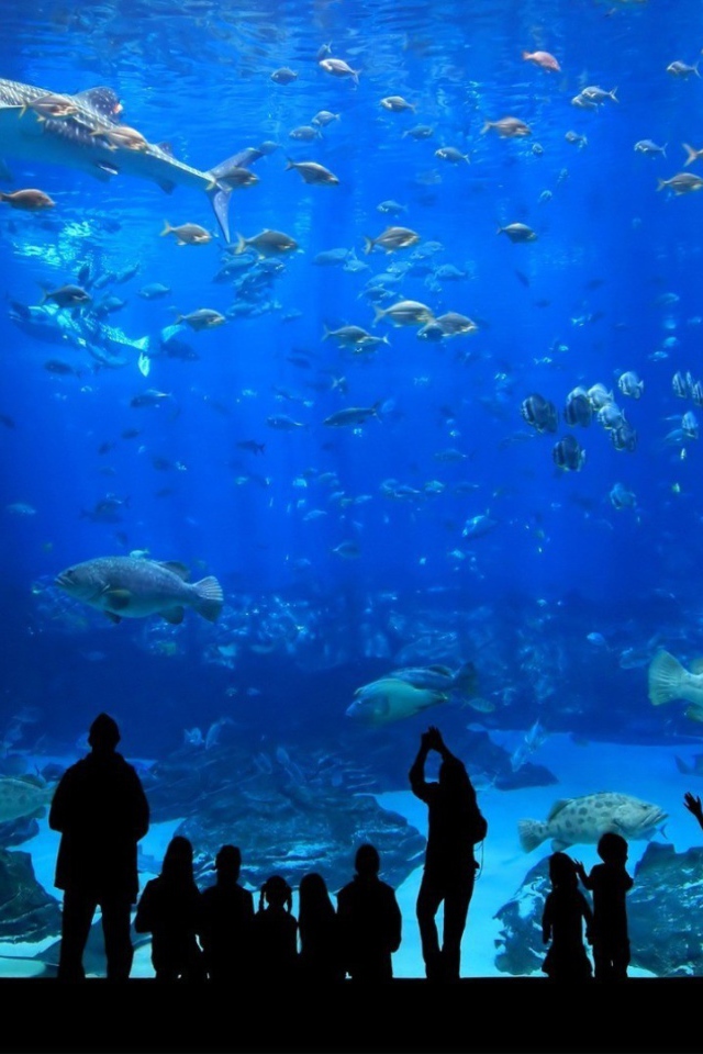 Посетители в океанариуме