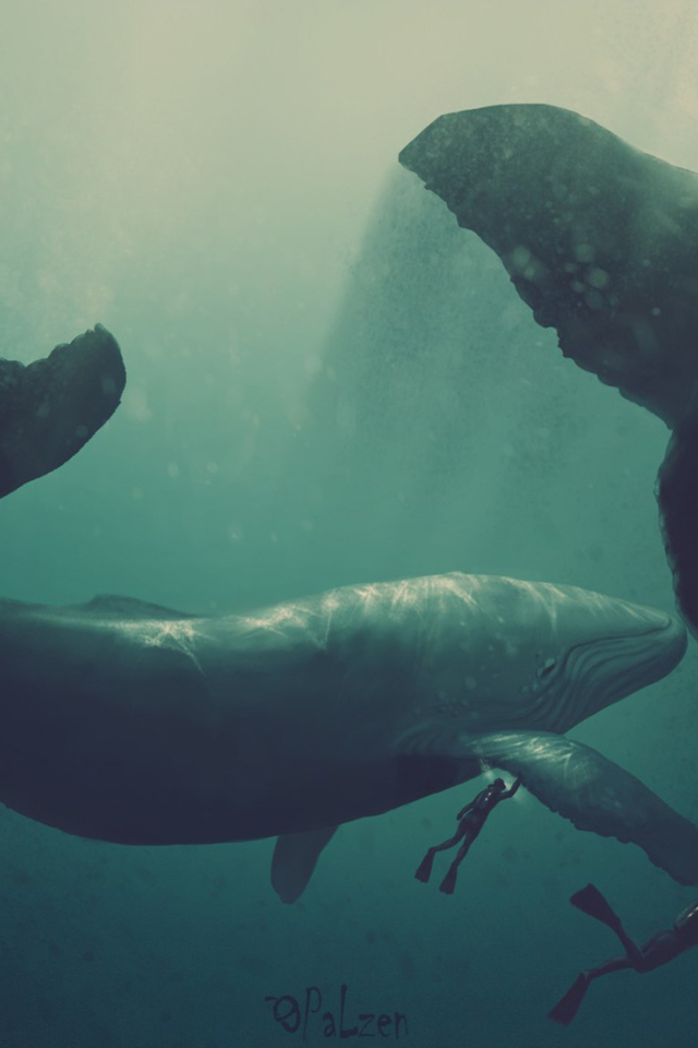 Киты и водолазы