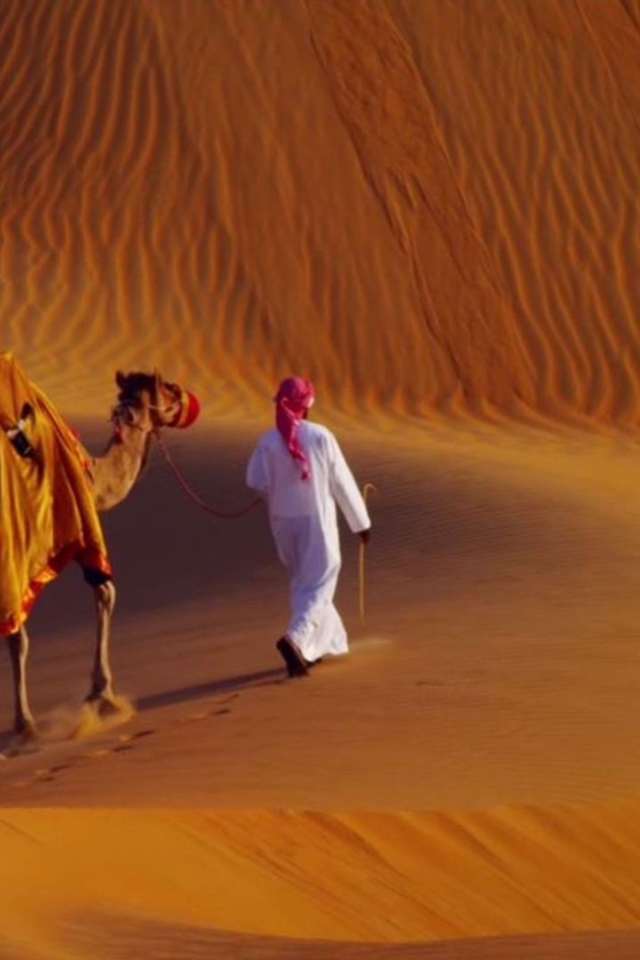 Бедуин с верблюдом в пустыне