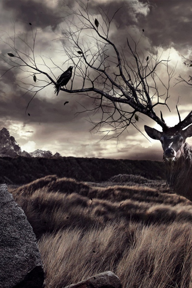 Птицы на ветвистых рогах оленя