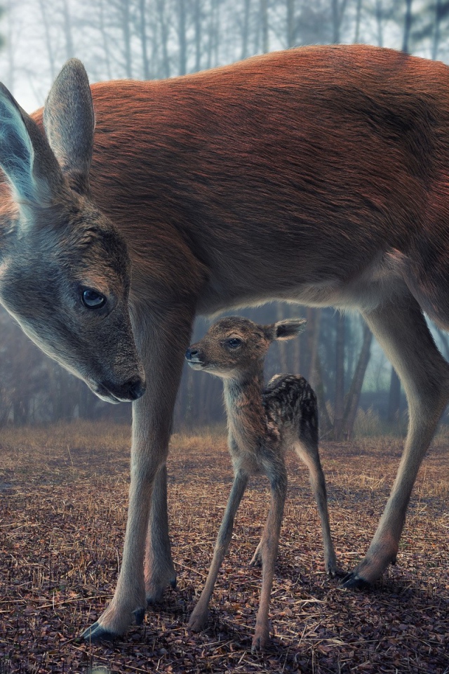 Мама с олененком