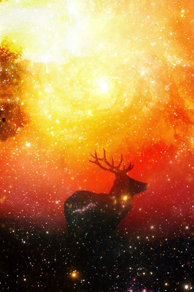 Олени среди звезд