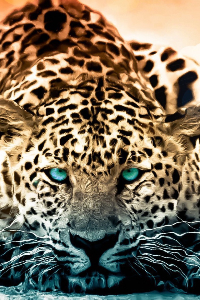 Голубоглазый красивый леопард