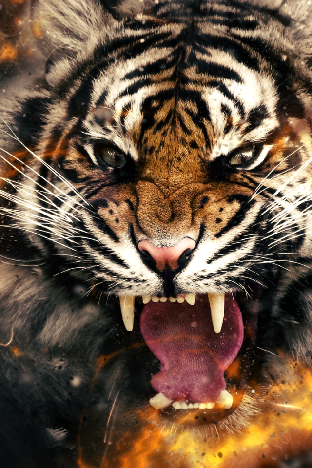 Огненный злой тигр