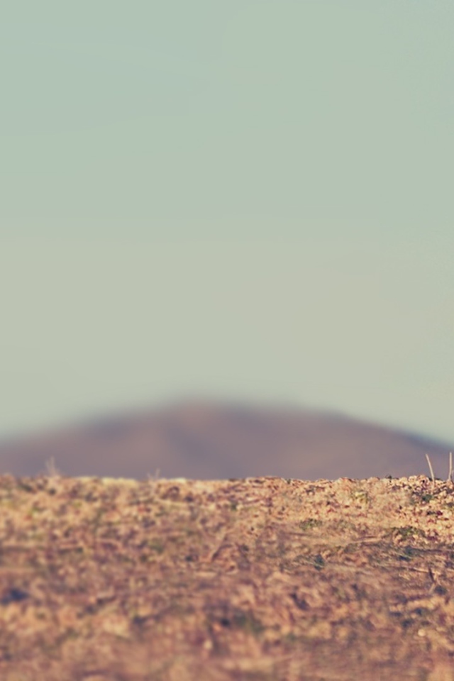 Малыш гепард бежит по саванне