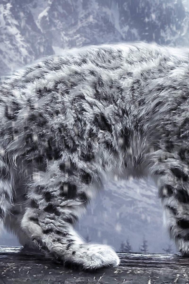 Лохматый снежный леопард с голубыми глазами