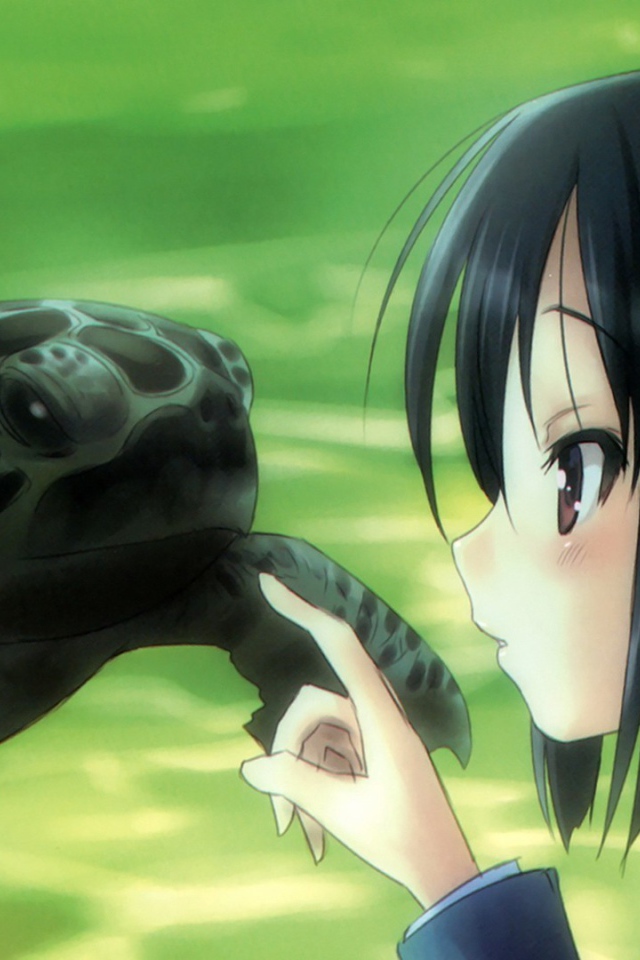 Девушка аниме и черепаха